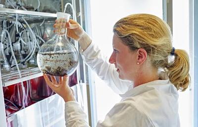 Natural Products BioHUB