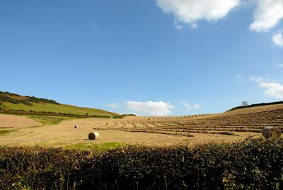 Ploughed field on Gower