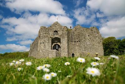 Oystermouth Castle in the spring
