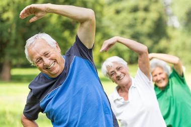 Active Older Adults (IS)