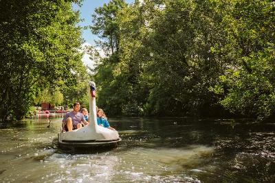 Singleton Swan Pedalo