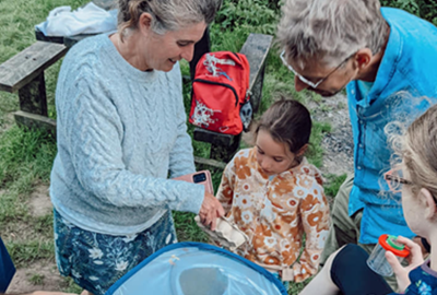 Moth Counting