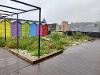 Green roof at Urban Village