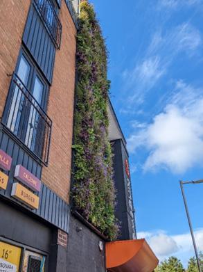 Green wall at 85-86 The Kingsway