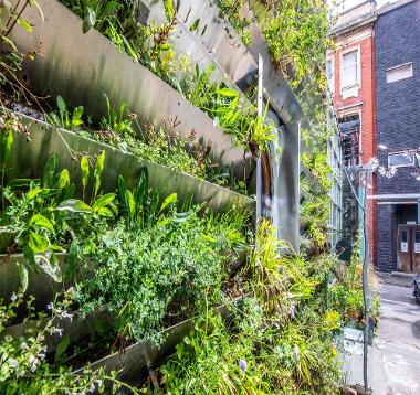 Living wall, Pier Street