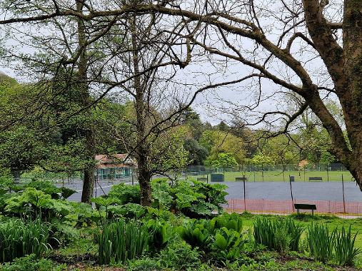 Baner Werdd Parc Cwmdoncyn