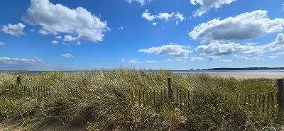 Swansea Shoreline