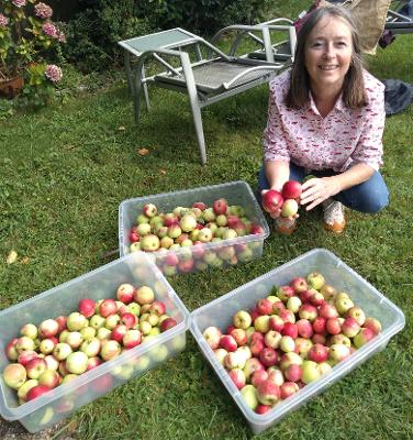 apple trees grant funding