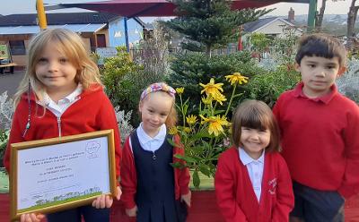 cila primary bloom winner