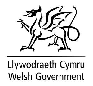 Welsh Government logo.