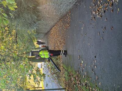 leaves clearing 1