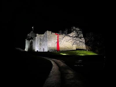 oystermouth castle poppy cascade