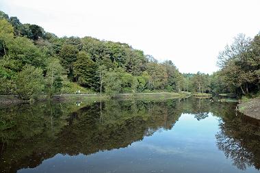 Walking groups - Penllegare Valley Woods