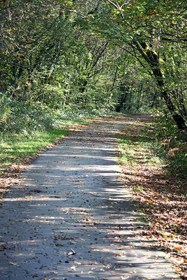 Walking Groups - Clyne Valley