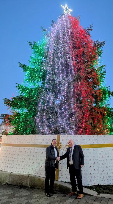 kartay christmas tree 2025 2