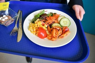 Stock image of a school meal