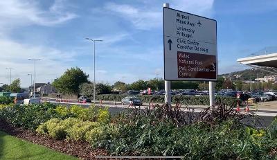 New greenery on Oystermouth Road 