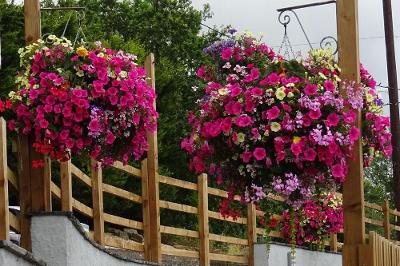 Hanging baskets - Rake and riddle garden.