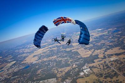 Tigers Display Team