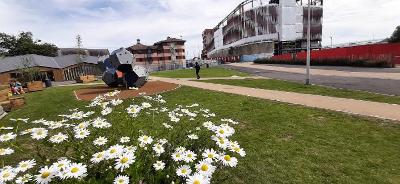 Swansea pop-up park